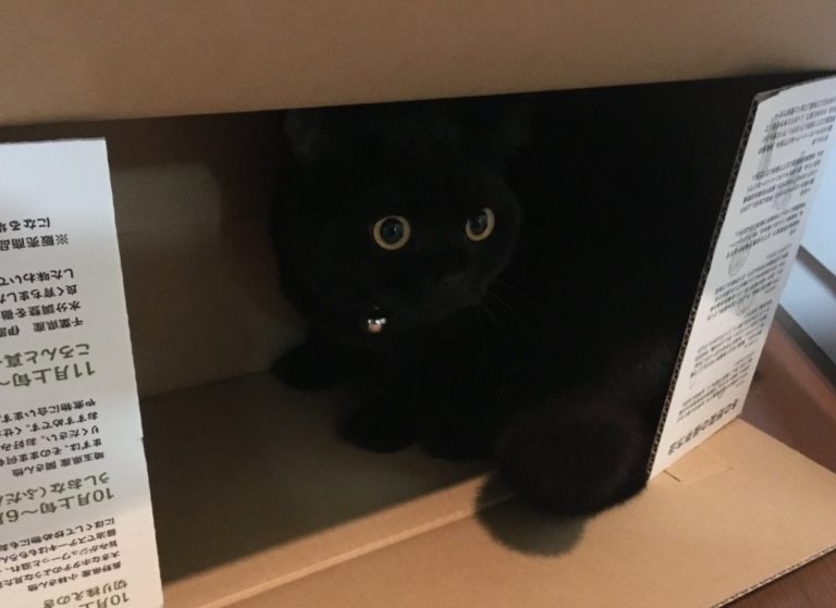 長春彩箱包裝廠